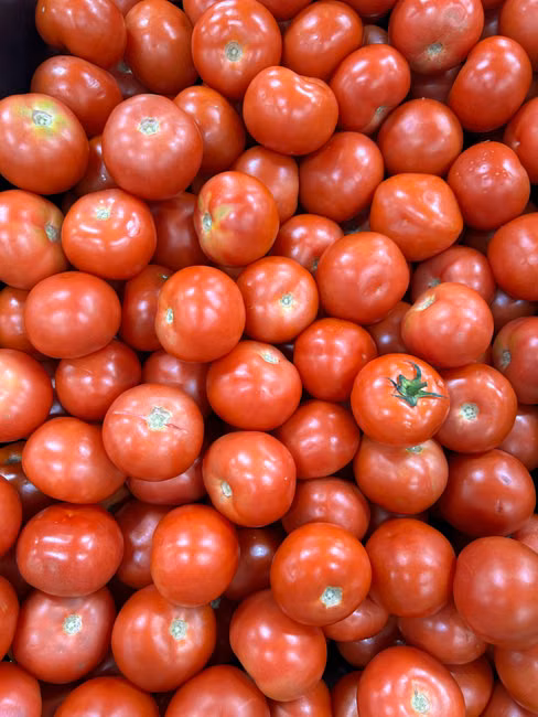 Tomate Italiano (kg)